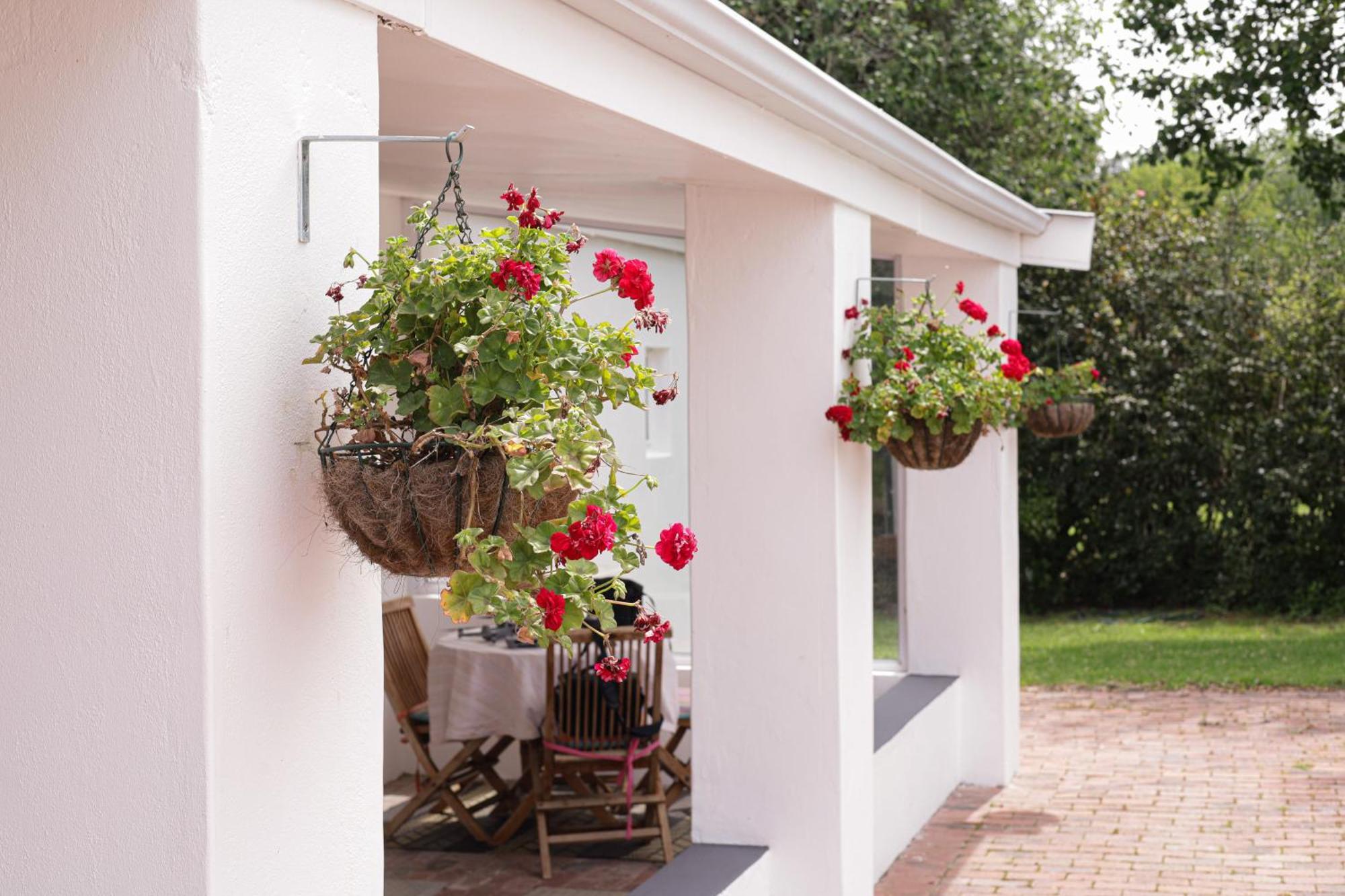 Marshden Estate Bed & Breakfast Stellenbosch Exterior foto